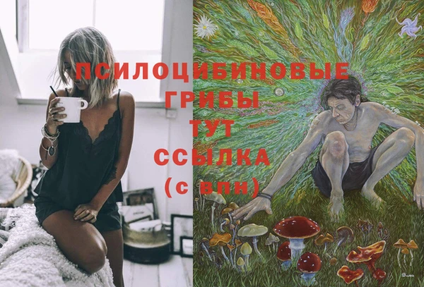 прущая мука Тавда
