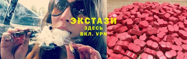 шишки Сясьстрой