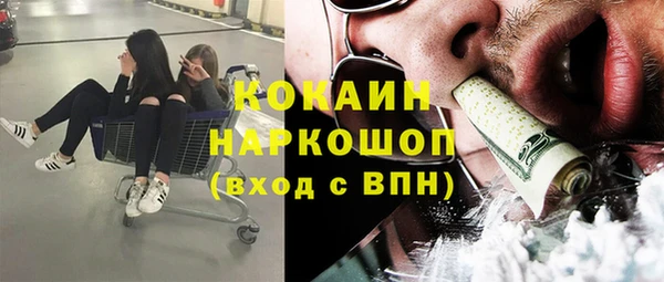 гидропоника Медногорск