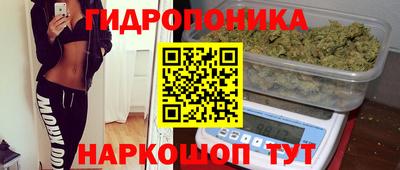 каннабис Кингисепп