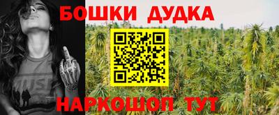 стаф Кинель