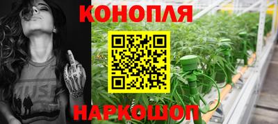 стаф Кинель
