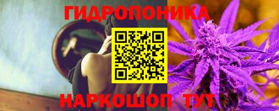 стаф Кинель